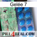Gelée 7 new02